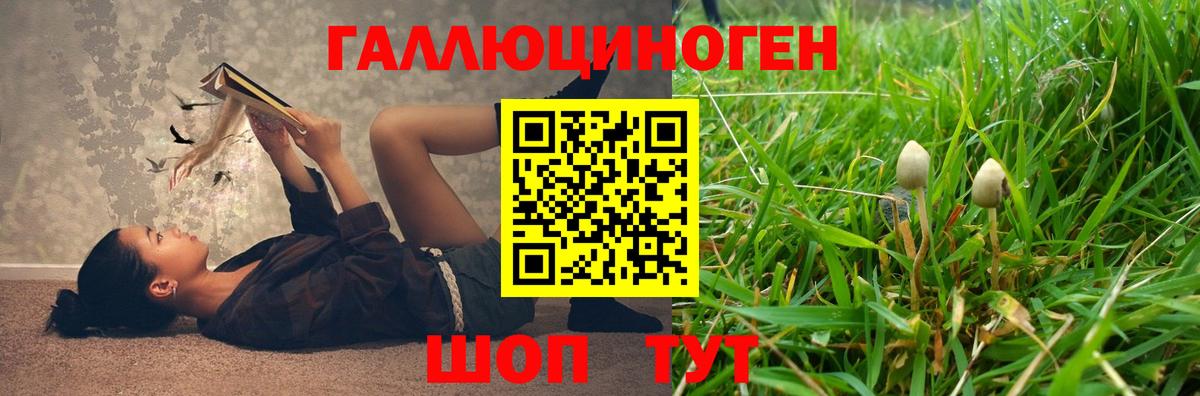 Псилоцибиновые грибы Cubensis Рассказово