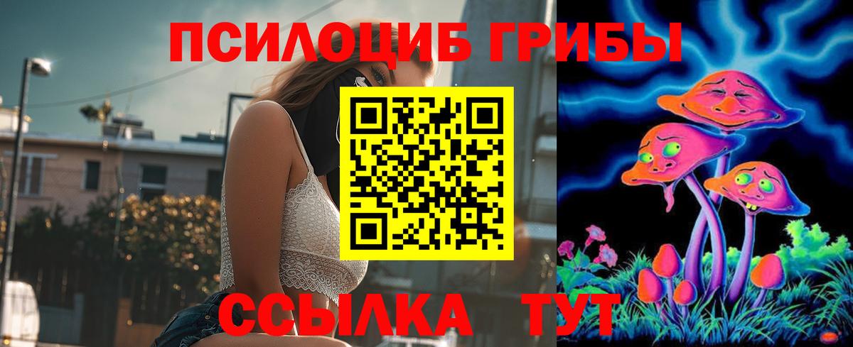 Псилоцибиновые грибы Magic Shrooms  Галлюциногенные грибы Magic Shrooms  Вход с VPN  Рассказово 